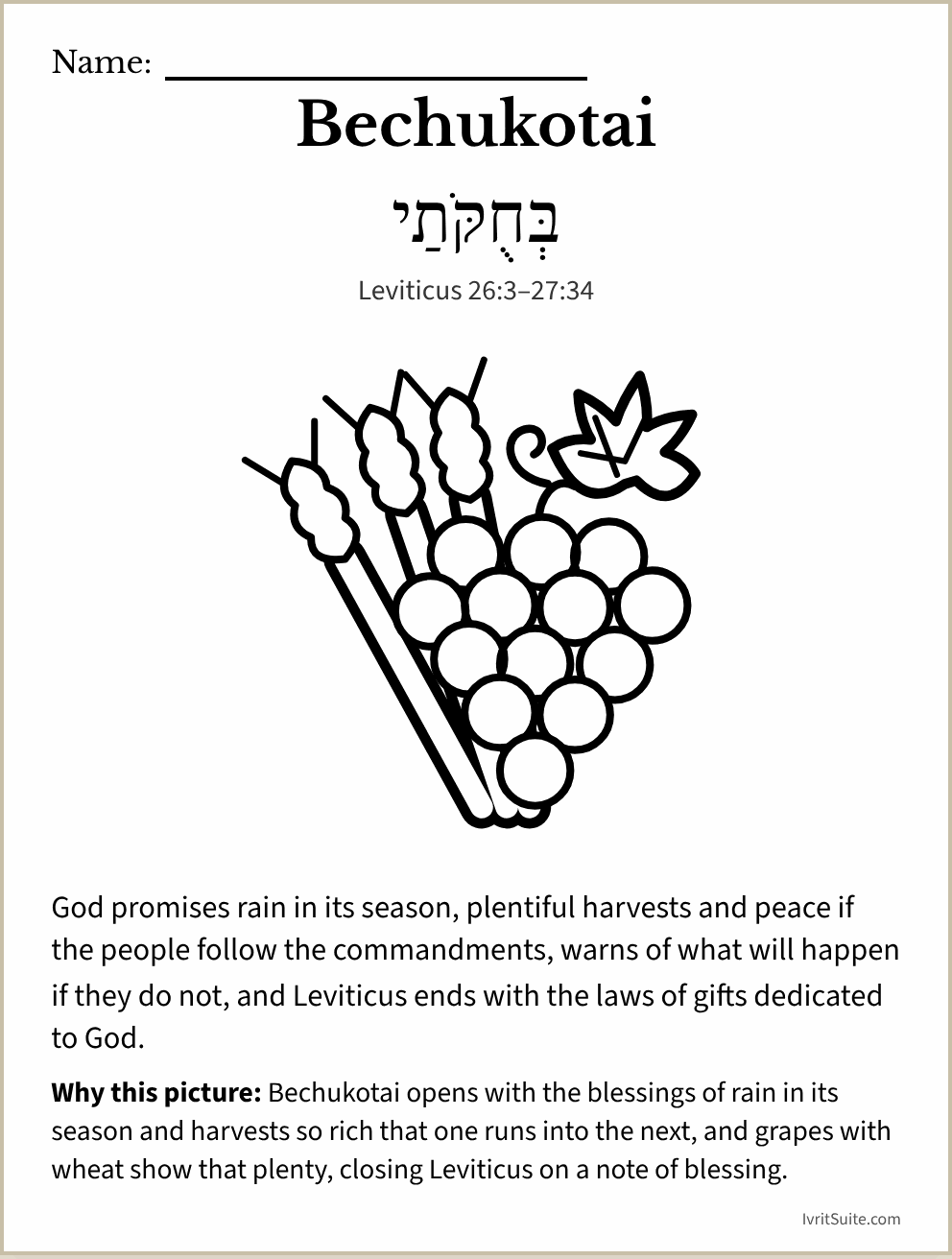 Parshat Bechukotai coloring page: a bunch of grapes with ears of wheat