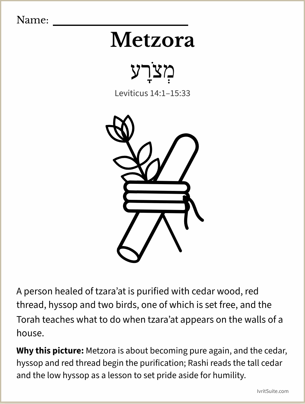 Parshat Metzora coloring page: a cedar stick and a hyssop sprig tied with red thread